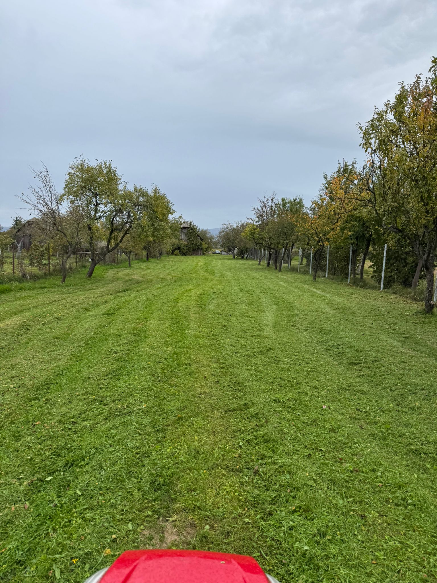 Traktor pri kosení sadu